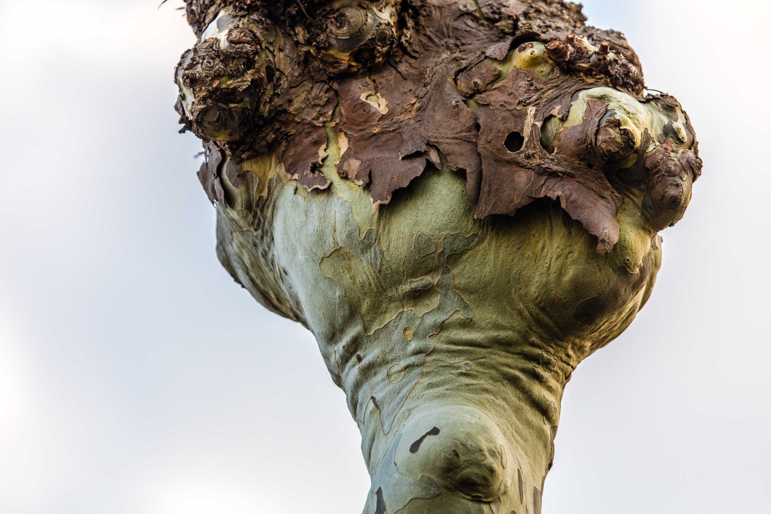 20190330181501 DP010281